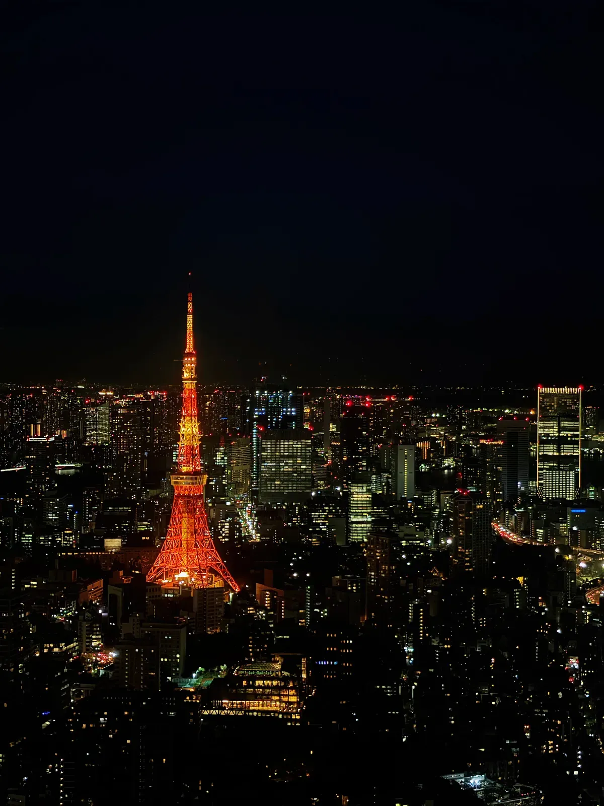 Floodlit lattice tower standing above a dense city at night.