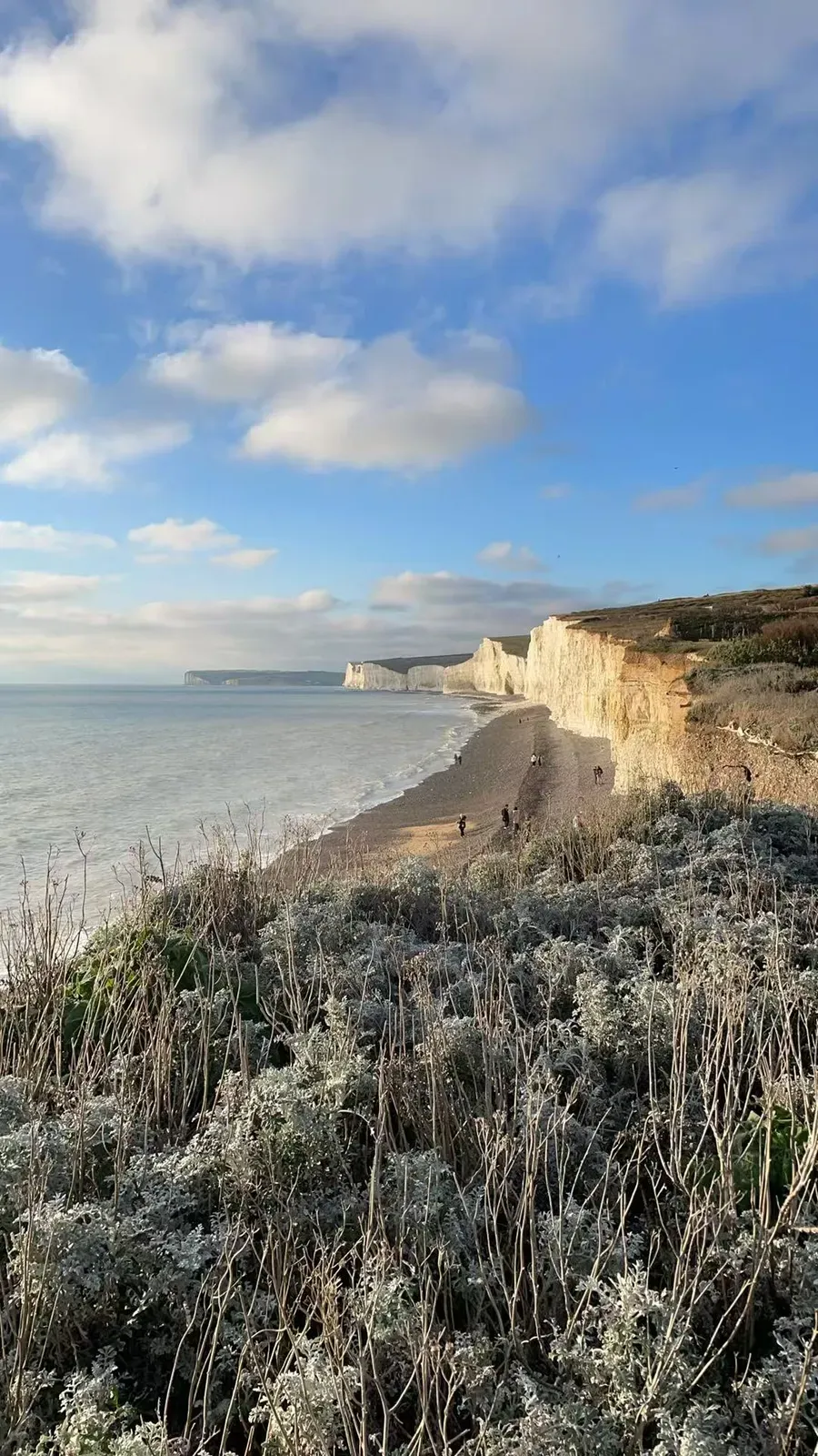 White chalk cliffs above a shingle beach, frosted scrub in front.
