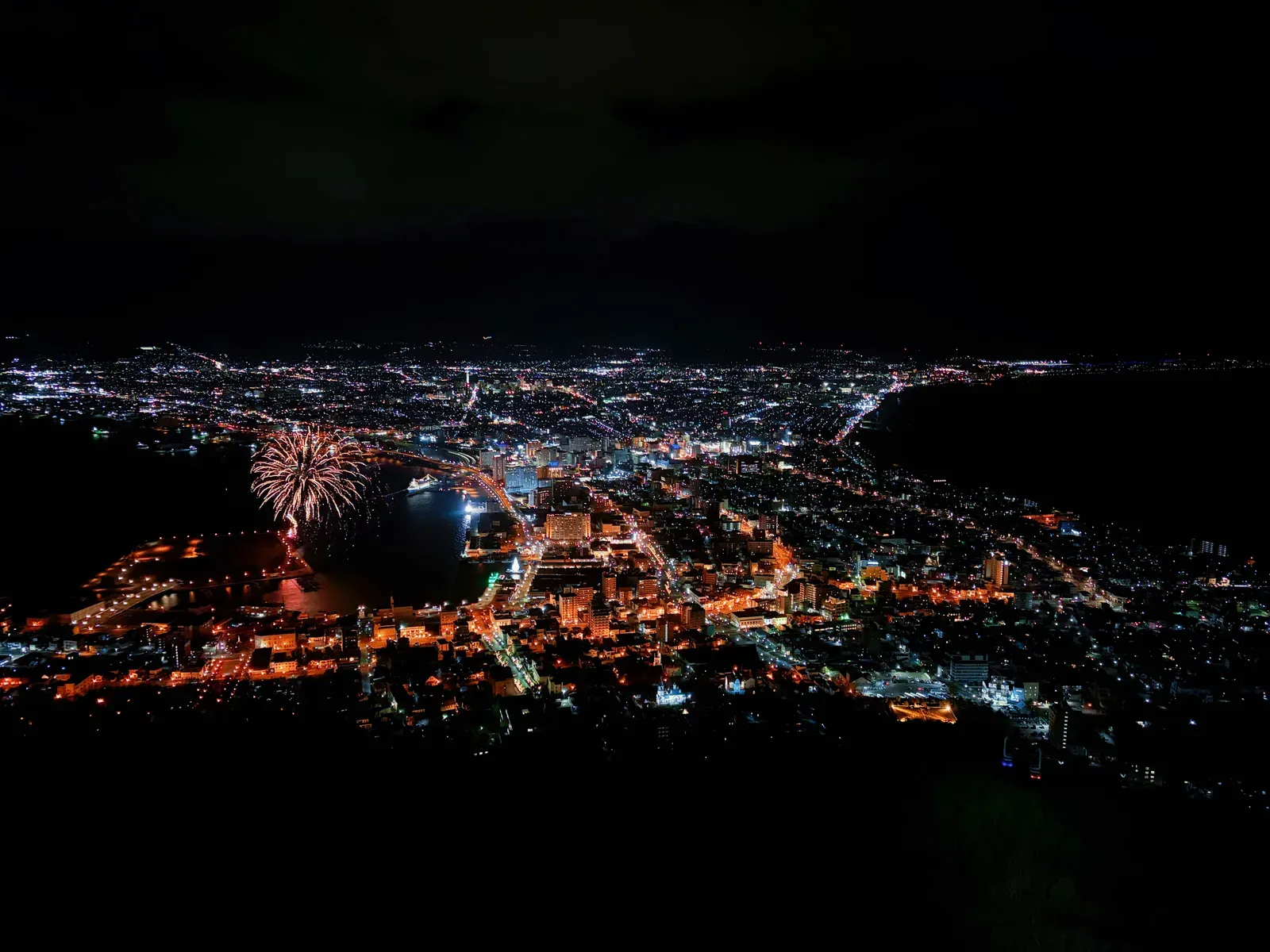 Fireworks over a harbour town seen from a dark hilltop.