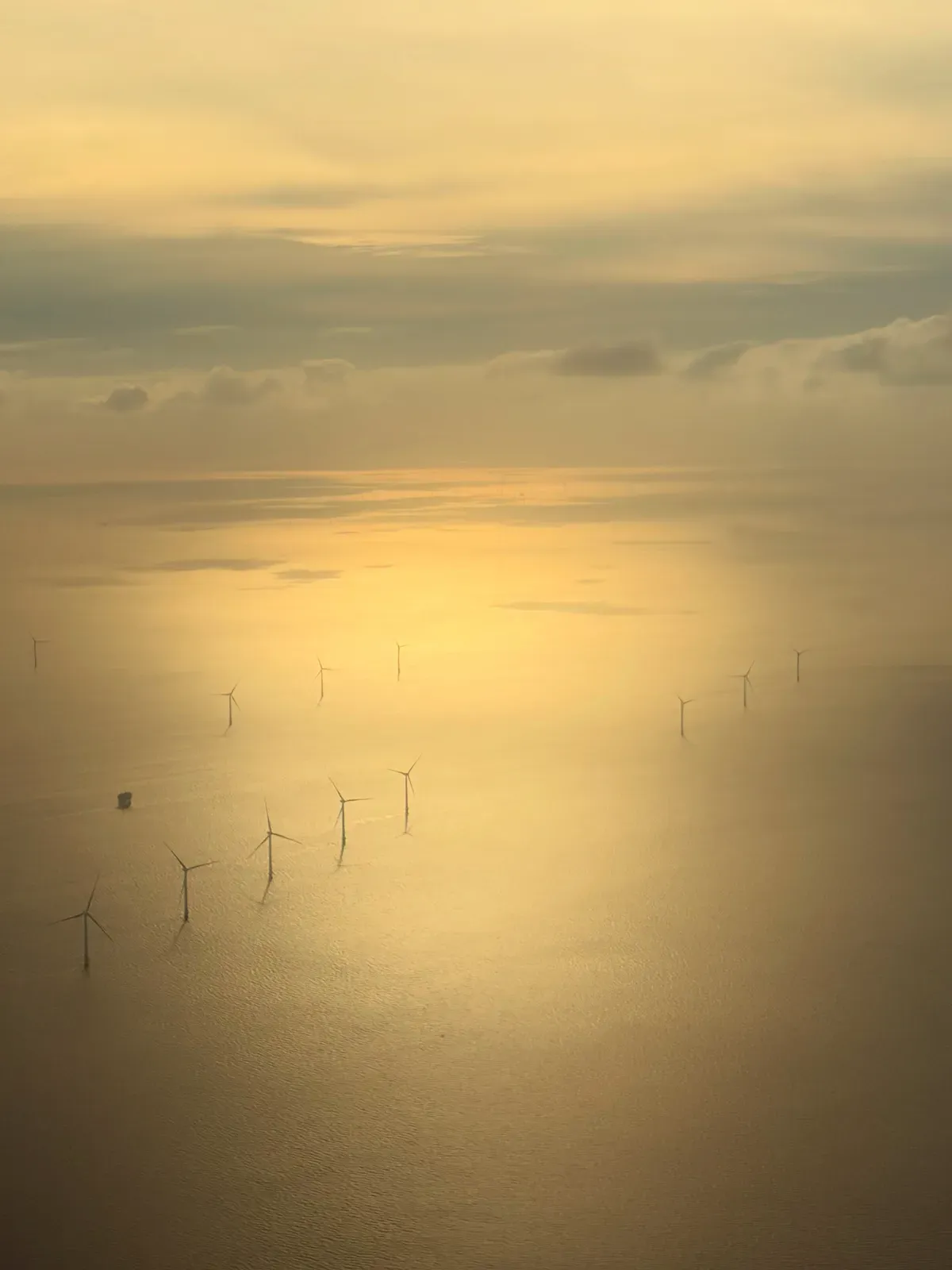 Offshore wind turbines scattered across a sea of golden haze.