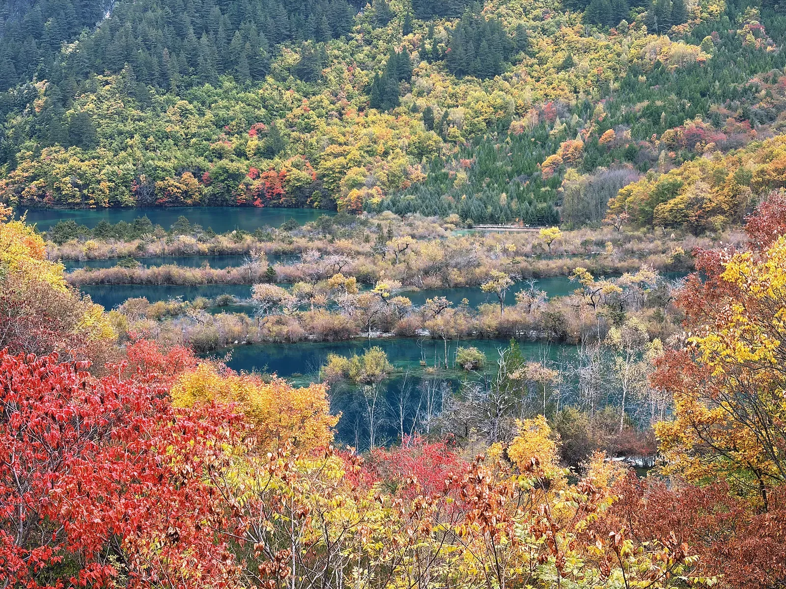 Turquoise terraced lakes below a hillside of autumn colour.