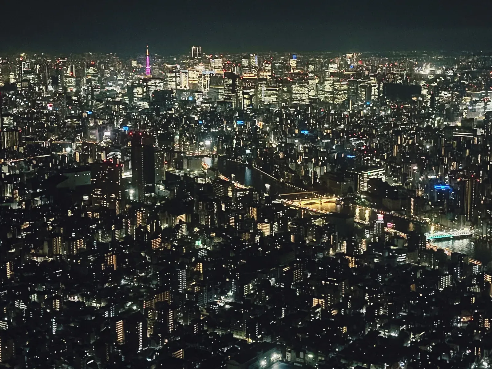 Dense night city crossed by a lit river and bridges.